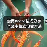 Word文本格式设置9大技巧，提升办公效率