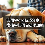 实用Word技巧分享：表格中如何自动添加编号（图4）