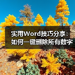 Word一键删除数字技巧：两种高效方法详解