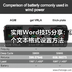 实用Word技巧分享：9个文本格式设置方法（图3）