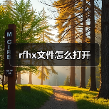 rfhx文件打开方法：防伪税控开票子系统操作指南
