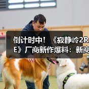 倒计时中!《寂静岭2RE》厂商新作爆料:新商标泄露(图3) 倒计时中!《寂静岭2RE》厂商新作爆料:新商标泄露(图3)