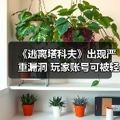 《逃离塔科夫》玩家遭遇账号进度清零漏洞担忧