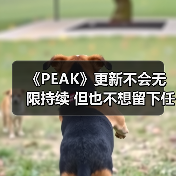 《PEAK》更新不会无限持续 但也不想留下任何遗憾(图3) 《PEAK》更新不会无限持续 但也不想留下任何遗憾(图3)
