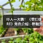 零红蝶重制版画面优化玩法升级魅力解析
