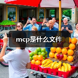 MCP文件用途及CodeWarrior开发环境解析