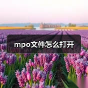 mpo文件怎么打开（图4）