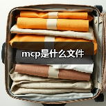 mcp是什么文件（图4）