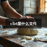 clbt是什么文件（图3）