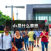 ds是什么意思（图2）