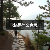 ds是什么意思（图4）