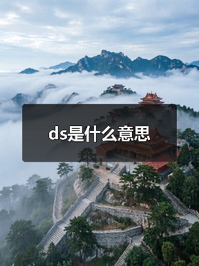 ds是什么意思（图3）
