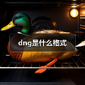 dng是什么格式（图2）