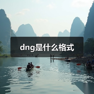 dng是什么格式（图3）