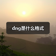 dng是什么格式（图4）