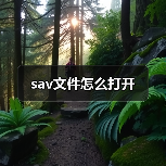 sav文件怎么打开（图3）