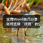 实用Word技巧分享:如何去除“顽固”的空白页!(图2) 实用Word技巧分享:如何去除“顽固”的空白页!(图2)