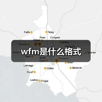 wfm是什么格式（图3）