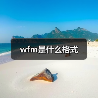 WFM文件格式详解及打开方法