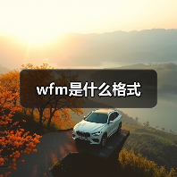 wfm是什么格式（图2）