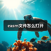 easm文件怎么打开（图2）