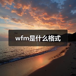 wfm是什么格式（图4）