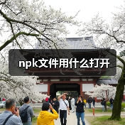NPK文件打开方法及游戏模型修改工具解析