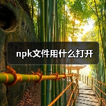 npk文件用什么打开（图3）