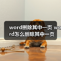 Word删除页面的三种高效方法及避坑指南