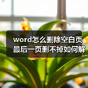 word怎么删除空白页最后一页删不掉如何解决(图3) word怎么删除空白页最后一页删不掉如何解决(图3)