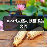 word文档可以翻译英文吗(图4) word文档可以翻译英文吗(图4)