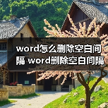 word怎么删除空白间隔 word删除空白间隔方法(图2) word怎么删除空白间隔 word删除空白间隔方法(图2)