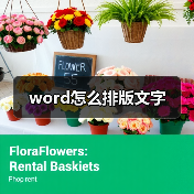 Word排版技巧全解析：字体、段落与模板使用