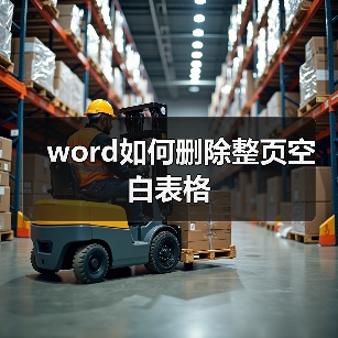 word如何删除整页空白表格（图4）