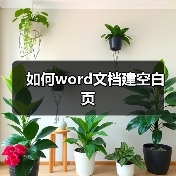 如何word文档建空白页（图3）