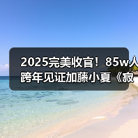 2025完美收官!85w人跨年见证加藤小夏《寂静岭f》通关(图3) 2025完美收官!85w人跨年见证加藤小夏《寂静岭f》通关(图3)