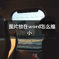 图片放在word怎么缩小（图2）