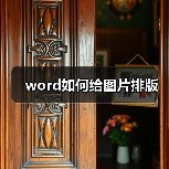 word如何给图片排版（图2）