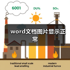 word文档图片显示正常