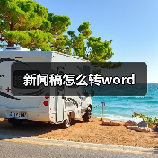 新闻稿怎么转word