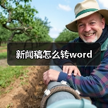 新闻稿怎么转word(图3) 新闻稿怎么转word(图3)