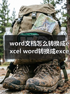 word文档怎么转换成excel word转换成excel(图3) word文档怎么转换成excel word转换成excel(图3)
