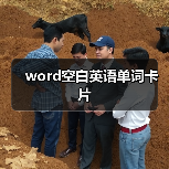 word空白英语单词卡片
