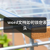 word文档如何锁定表头（图3）