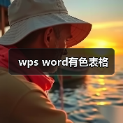 wps word有色表格