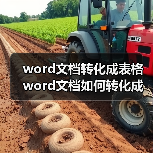 word文档转化成表格 word文档如何转化成表格（图3）