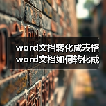 word文档转化成表格 word文档如何转化成表格（图4）