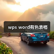 wps word有色表格（图4）