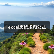 excel表格求和公式(图4) excel表格求和公式(图4)