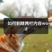 如何删除两栏内容word（图2）
